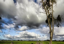 九游娱乐：中超刺激夜！北京国安1-1，山东泰山4-3大逆转，上海申花3-1逆转.