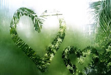 九游娱乐:中超刺激夜!北京国安1-1,山东泰山4-3大逆转,上海申花3-1逆转.