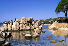 [国内球]协杯半决赛：上海海港VS上海申花.